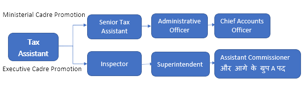 Tax Assistant Salary